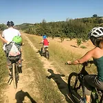 Gospodarstwo wiejskie La Rosa Gialla Bio & *