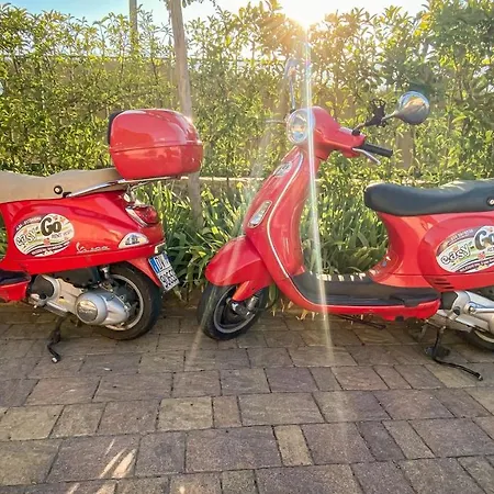 La Rosa Gialla Bio & Kır Evi