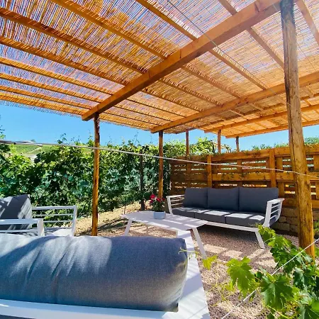 La Rosa Gialla Bio & 乡村民宿