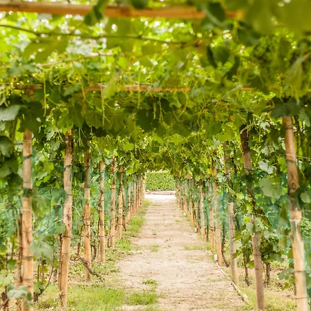 La Rosa Gialla Bio & Kır Evi